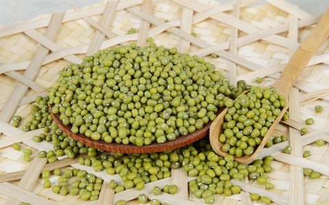 绿豆的功效与作用及食用方法