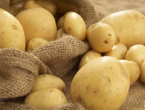 土豆的功效与作用,土豆的营养价值