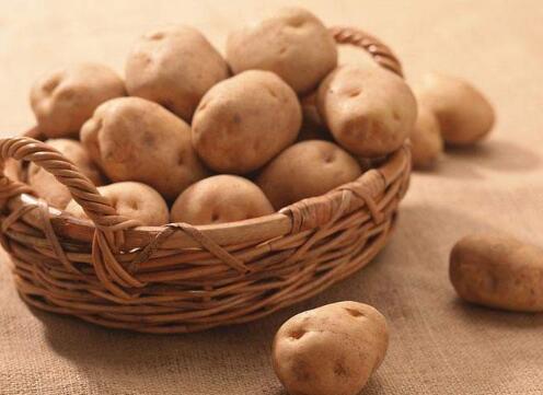 土豆的功效与作用,土豆的营养价值