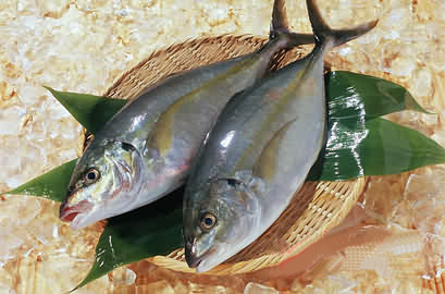 геĻѡ