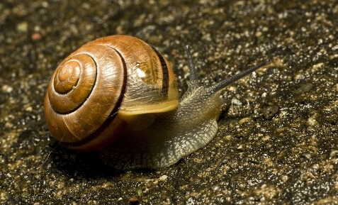 ţЧ2