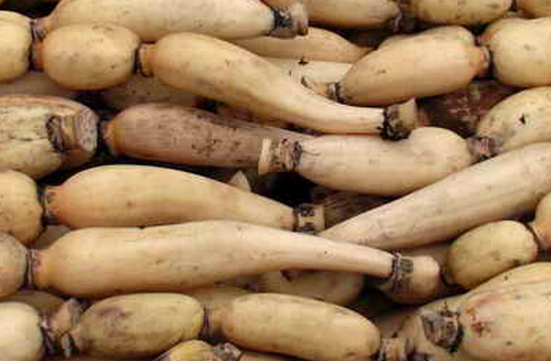 źЧ1