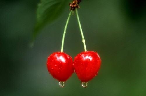 ӣҵĹЧ,ӣҵӪֵ[ͼ]