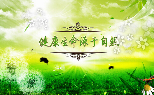 벡ӿ