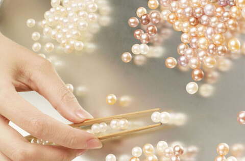 珍珠粉的功效与作用,珍珠粉面膜怎么做