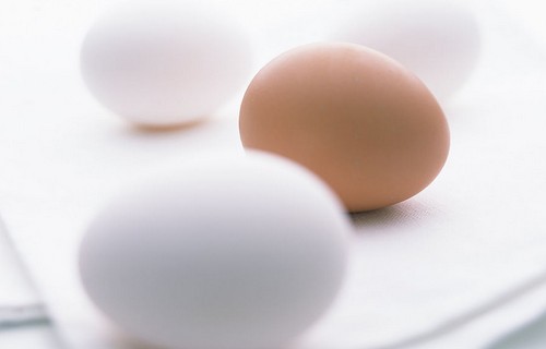 Զ˶ԽҲ