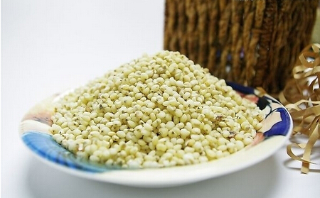 薏米的功效与作用,薏米的及食用方法