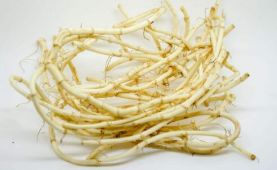 ȲƱŧ֢